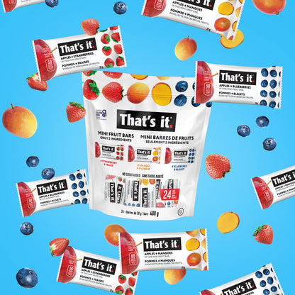 That's it. Mini Fruit Bars Variety Pack (24 Count) - No Added Sugar, Plant-Based, Vegan & Gluten Free