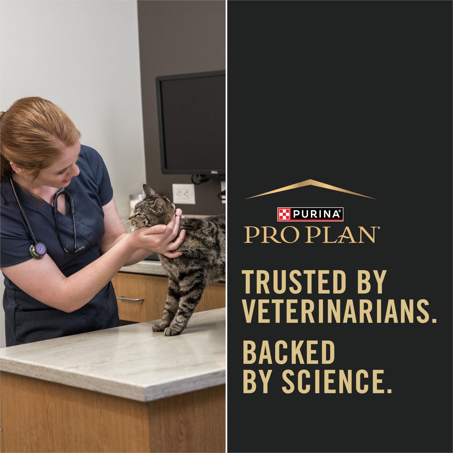 Pro Plan Dry Cat Food, Weight Management, Chicken & Rice 3.18kg 🍁 All In One Marketplace Canada