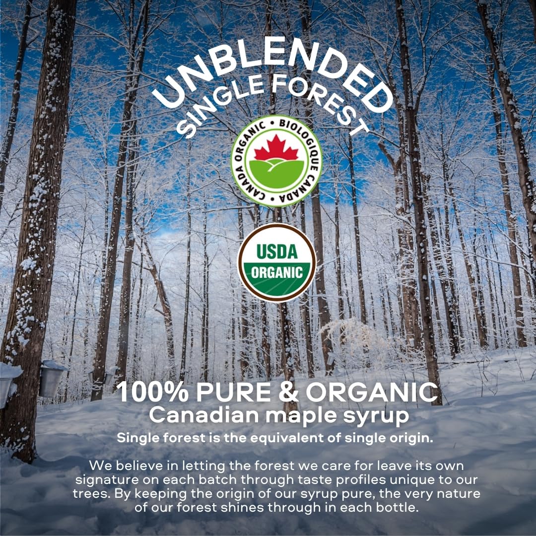 Escuminac Single Forest Maple Syrup – 500ml | Grade A Amber, Certified Organic, Pure Canadian