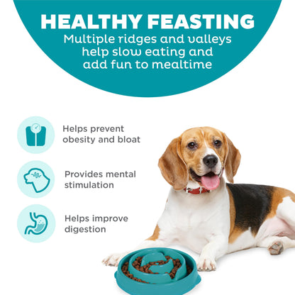 Fun Feeder Slo Bowl – Medium 2‑Cup Capacity, Slow Feeding, Small to Medium Dogs & Cats, Non-Slip, Turquoise, Drop Pattern