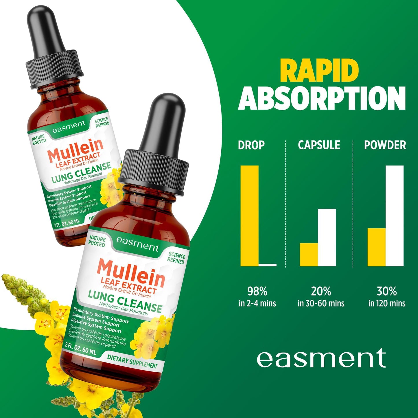 Easement Gouttelettes d'extrait de Molène pour les poumons – Complément à base de plantes pour le nettoyage des poumons, le soulagement du mucus et des mucosités – Liquide sans alcool