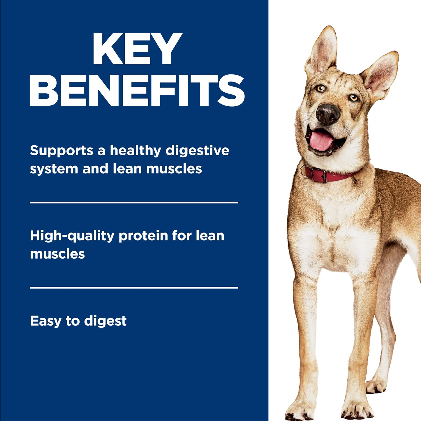 Hill's Science Diet Adult 1-6, Premium Nutrition, Wet Dog Food, Beef & Vegetables Stew, 12.8 oz Can, Case of 12 Hill's Science Diet