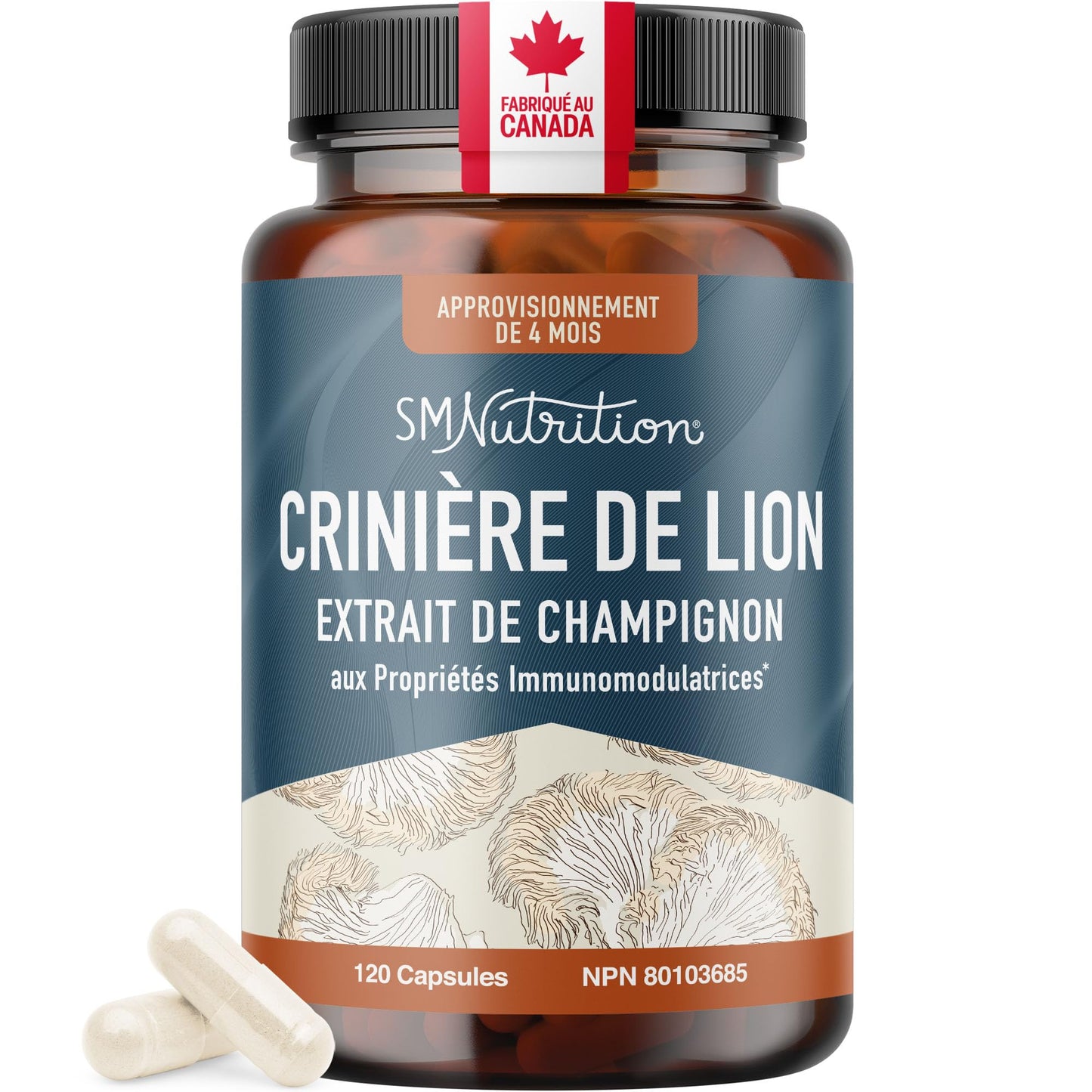 Lion’s Mane Supplement & Nootropic for Mental Clarity | 4 Month Supply | Performance & Memory Support | Antioxidant Rich & Immunomodulating Mushroom | Extra Strength Lions Mane 500mg | Non-GMO 120ct - Available at All In One Marketplace Canada