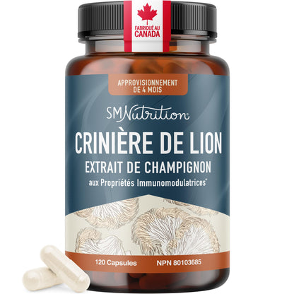 Lion’s Mane Supplement & Nootropic for Mental Clarity | 4 Month Supply | Performance & Memory Support | Antioxidant Rich & Immunomodulating Mushroom | Extra Strength Lions Mane 500mg | Non-GMO 120ct - Available at All In One Marketplace Canada