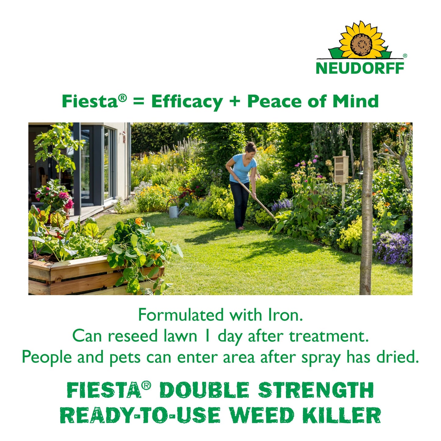 Neudorff Fiesta Lawn Weed Killer Double Strength RTU, See Results in Hours & Can Reseed Lawn 1 Day After Treatment, People & Pets Can Enter Treated Area When Spray Dries, Made with Iron (946 ML)