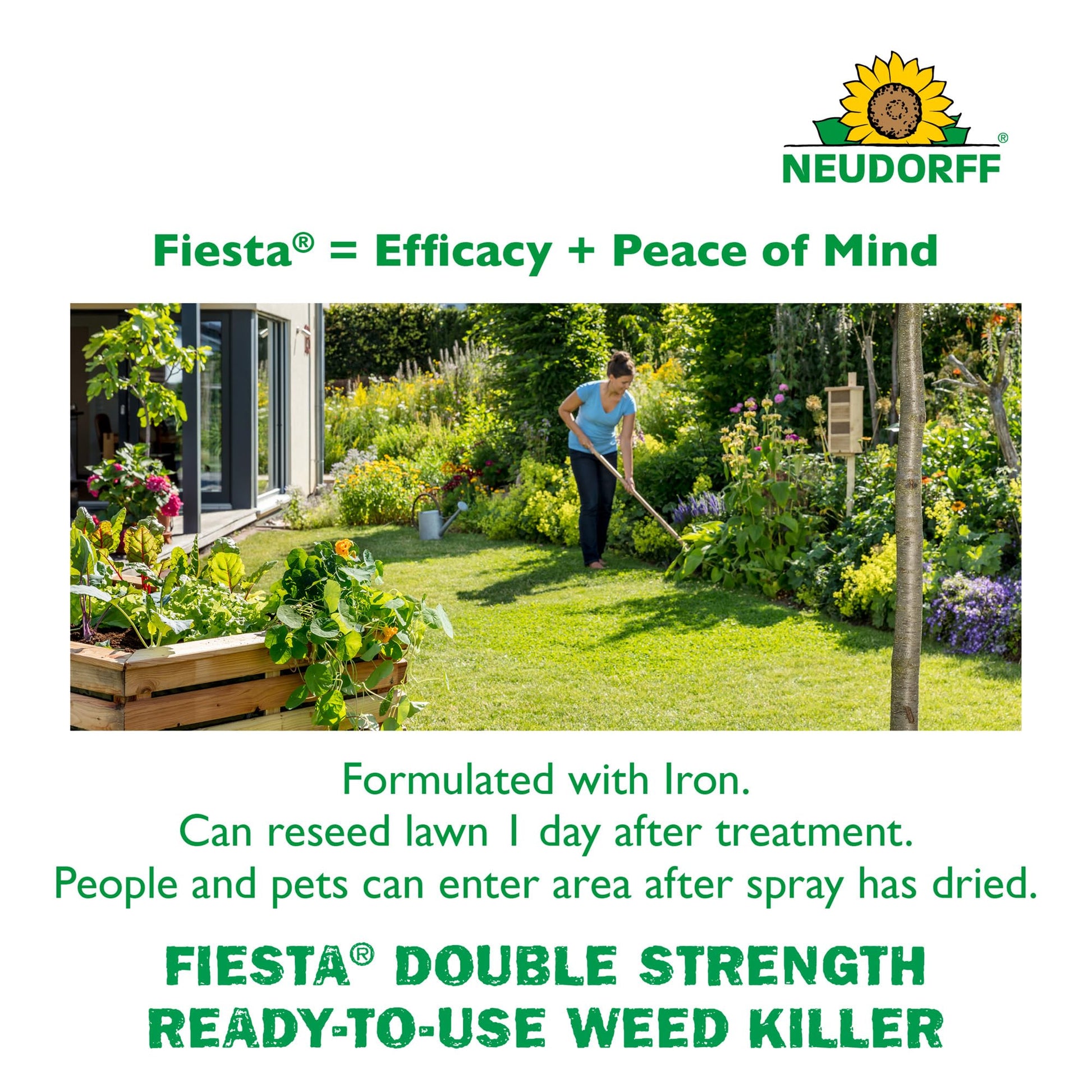 Neudorff Fiesta Lawn Weed Killer Double Strength RTU, See Results in Hours & Can Reseed Lawn 1 Day After Treatment, People & Pets Can Enter Treated Area When Spray Dries, Made with Iron (946 ML)