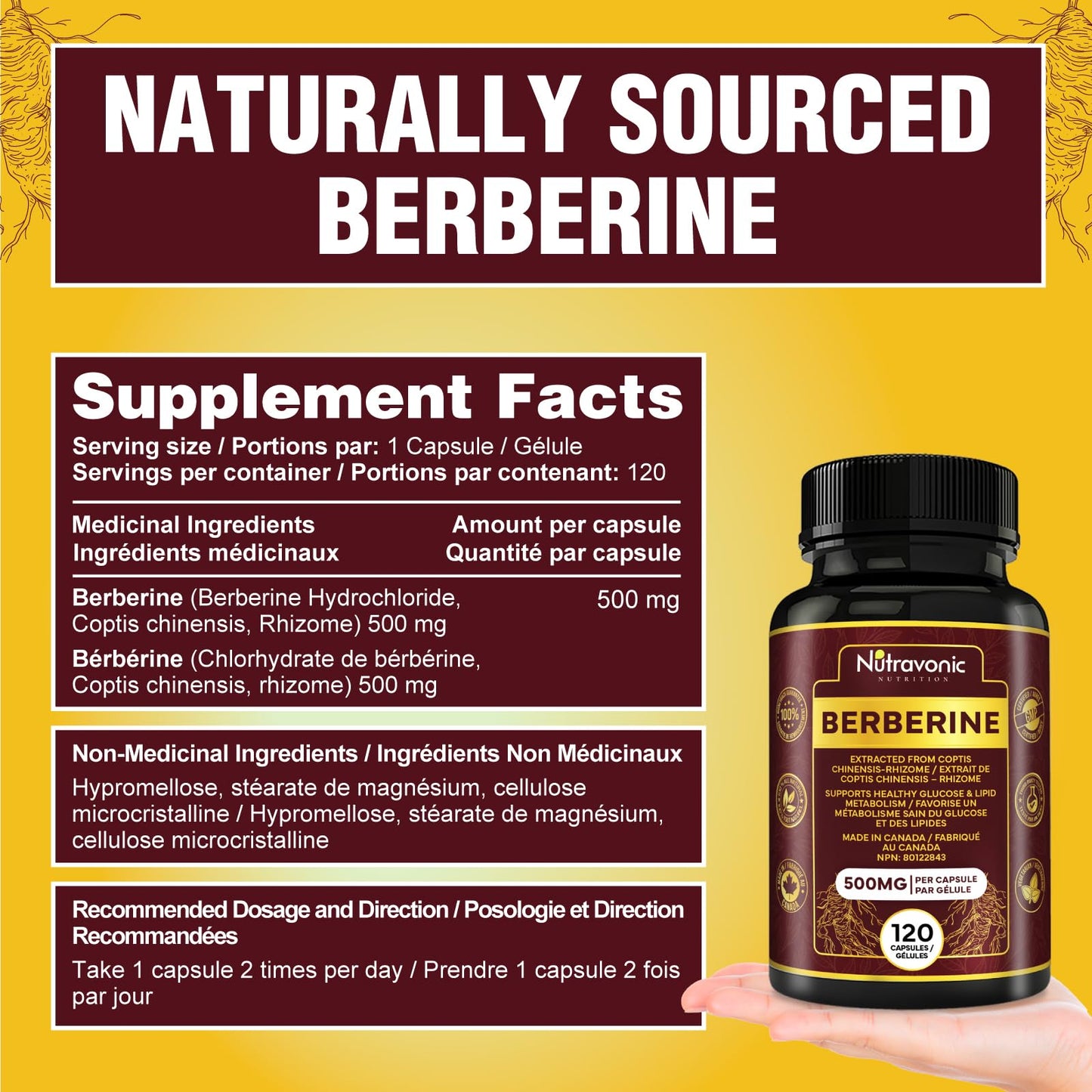 Nutravonic Berberine Supplements 1000mg Per Serving, 500mg Per Capsule | Made in Canada I Supports Healthy Glucose & Lipid Metabolism | Non-GMO, Vegan, Gluten-free, 120 Easy-to-Swallow Capsules - Available at All In One Marketplace Canada