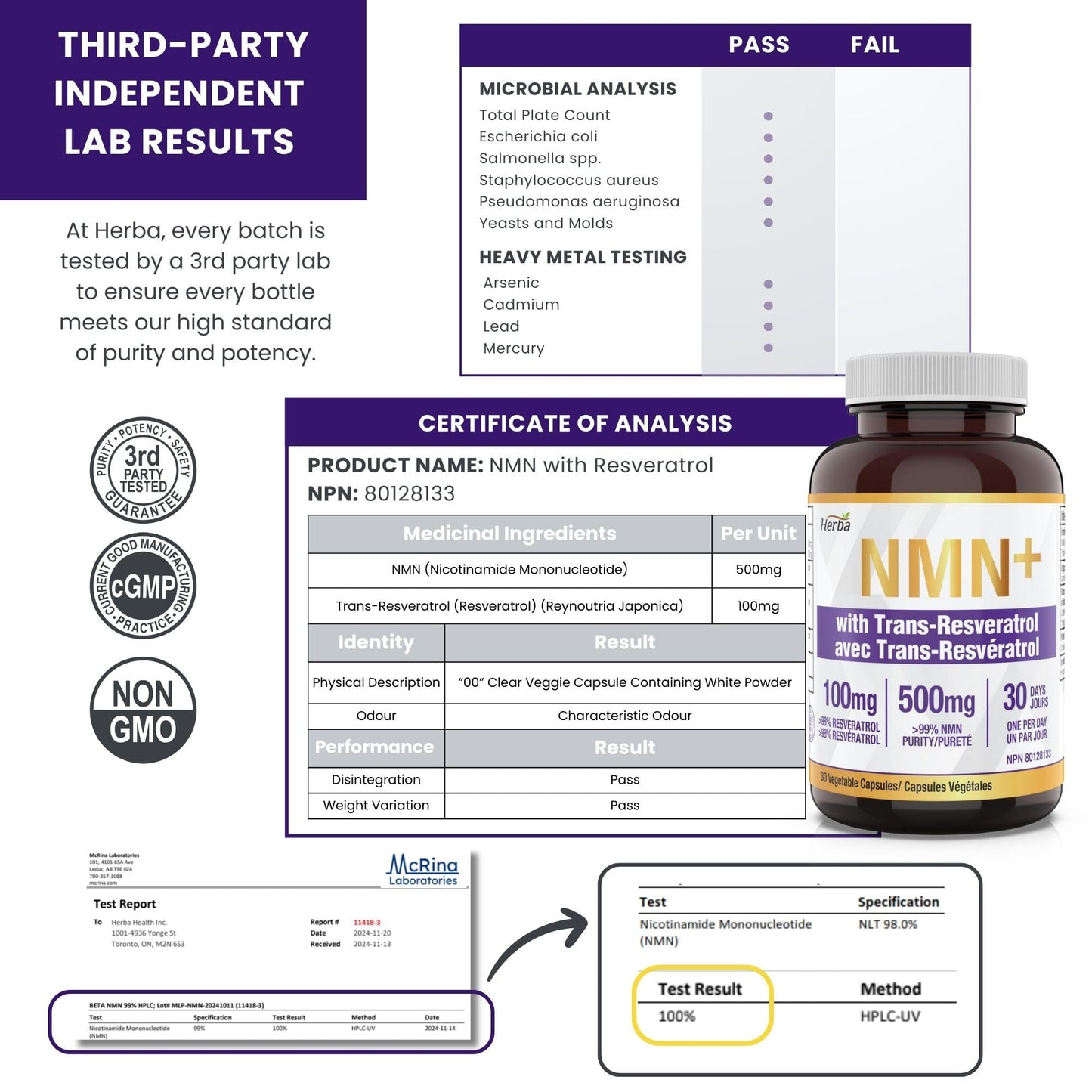 Herba NMN Supplement with Resveratrol – 500mg + 100mg | 100% Purity β-NMN & >99% Resveratrol | NAD Supplement Canada Made | NAD+ Precursor | 30 Capsules - Available at All In One Marketplace Canada