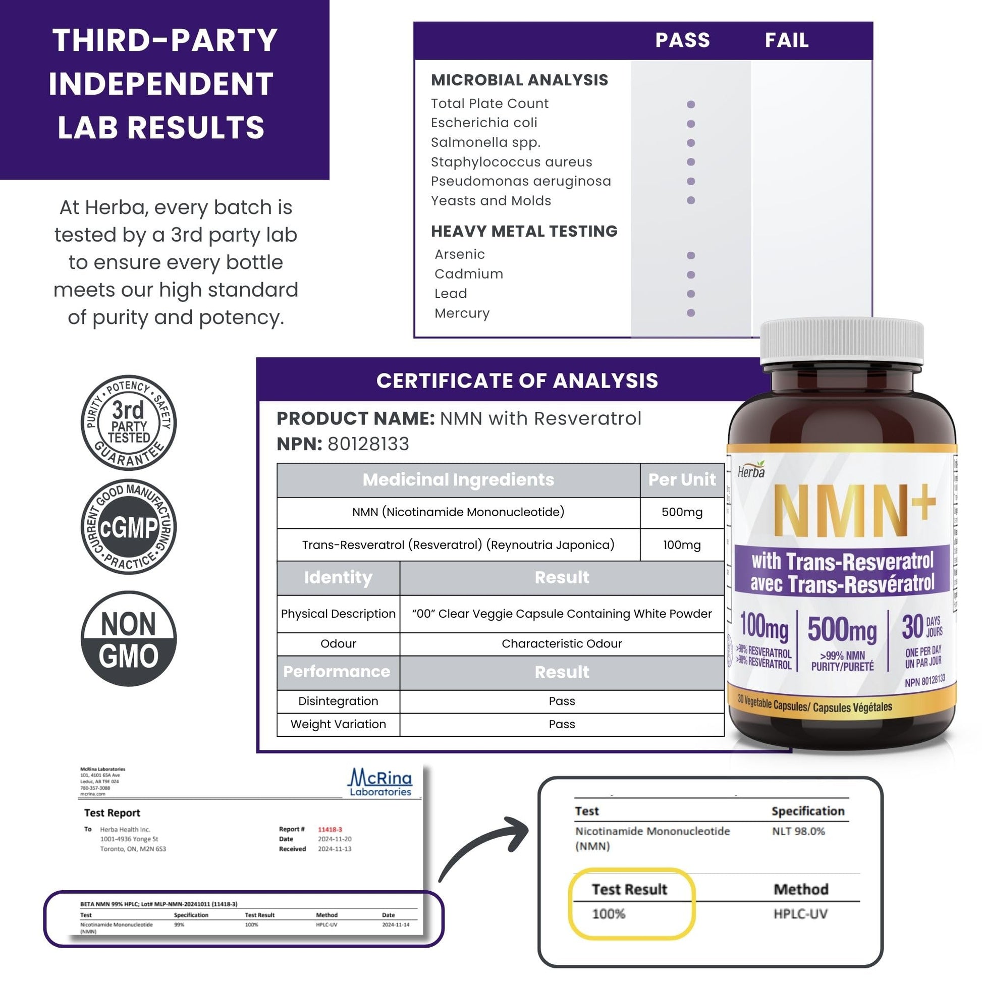 Herba NMN Supplement with Resveratrol – 500mg + 100mg | 100% Purity β-NMN & >99% Resveratrol | NAD Supplement Canada Made | NAD+ Precursor | 30 Capsules - Available at All In One Marketplace Canada
