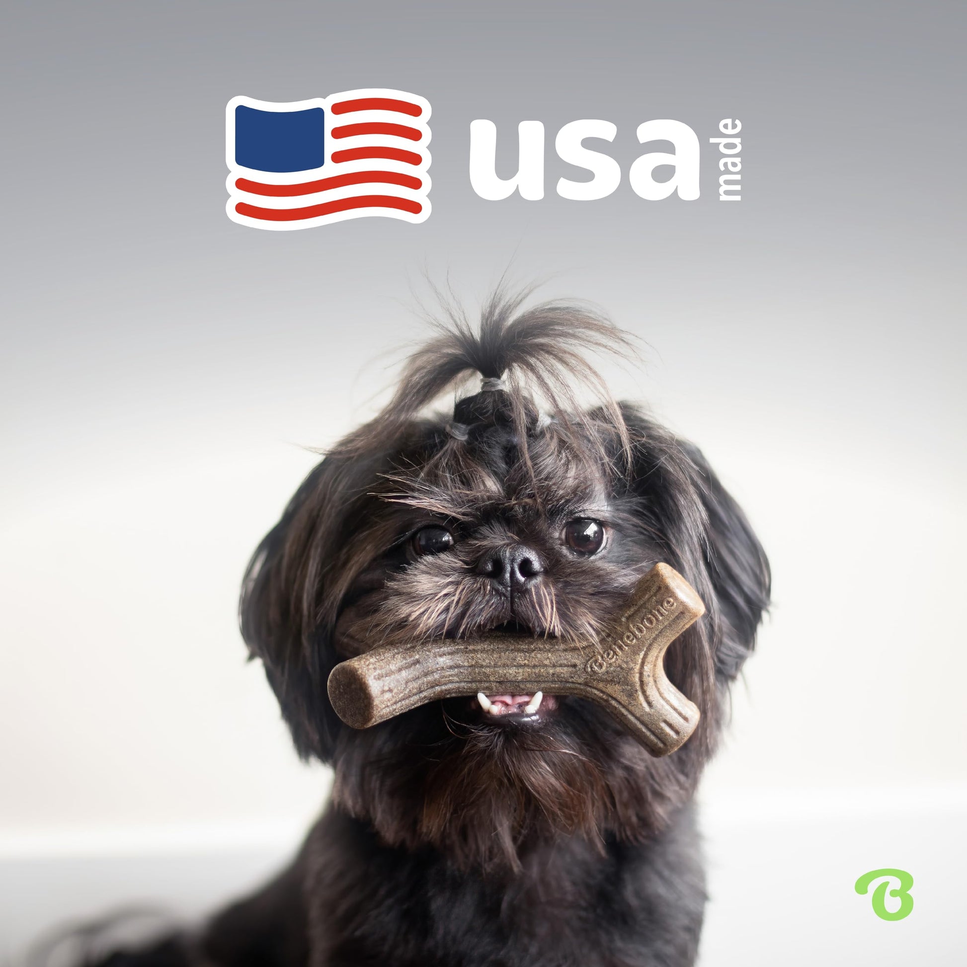 Benebone 4-Pack Durable Dog Chew Toys for Aggressive Chewers, Real Flavors, Made in USA, Medium