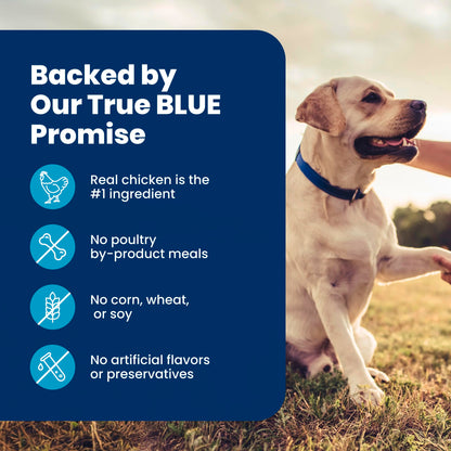 Blue Buffalo Life Protection Formula Chicken & Brown Rice Senior Dry Dog Food, Supports Immunity with Antioxidant-Rich LifeSource Bits, Promotes Healthy Muscle Development, Skin & Coat, 11.7kg/26lbs