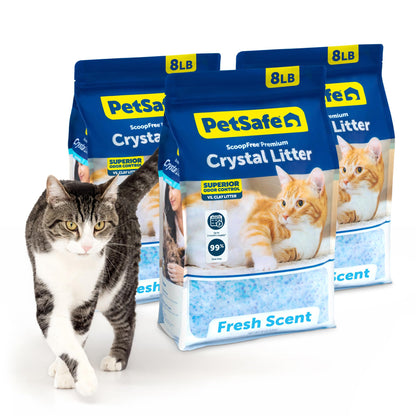 PetSafe ScoopFree Premium Fresh Crystal Cat Litter, 3-Pack – Lightly Scented Litter – Superior Odor Control – Low Tracking for Less Mess – Lasts Up to 6 Months, 24 lbs Total (3 Pack of 8 lb Bags)