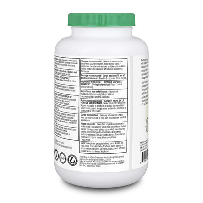 Organika Enhanced Collagen Protein Capsules - For Healthy Hair, Skin, Nails, Joints - Hydrolyzed For Better Absorption – Grass-Fed, Non-GMO - 240 Capsules Organika