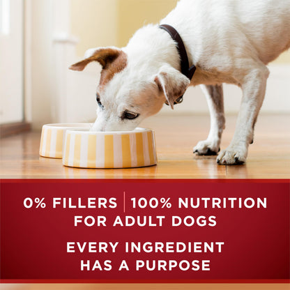 Purina ONE True Instinct Wet Dog Food, Tender Cuts Variety Pack (12 Pack) Purina ONE