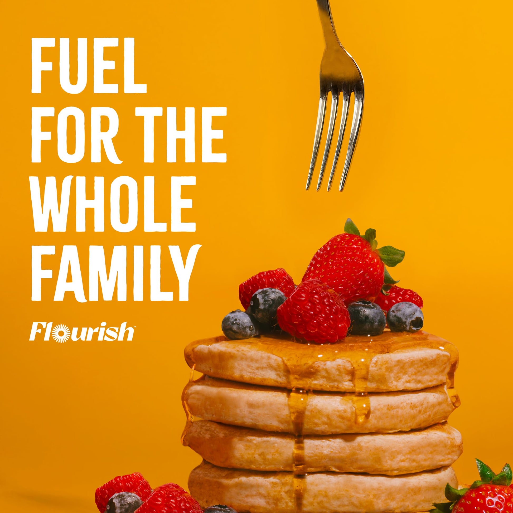 Flourish Protein Pancake & Waffle Mix with Whey Protein, No Added Sugar, High in Fiber - Just Add Water - Buttermilk Flavour, 430 g Each (2 Pack) - Made in Canada