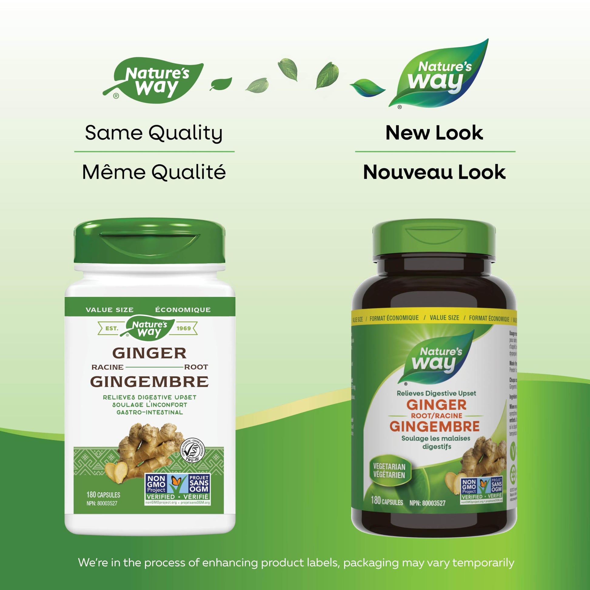 Nature's Way Ginger Root – Traditional Digestive Support Supplement - Used in Herbal Medicine to Help Relieve Digestive Upset – Non-GMO - 180 Vegetarian Capsules, Value Size - Available at All In One Marketplace Canada