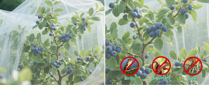 Ultra Fine Insect Mesh Garden Netting 3M x 15M, Extra Large Insect & Bird Barrier Netting, Crop Protection Plants Netting for Vegetables, Fruit Trees, Greenhouse, Customizable Plant Cover Protection - Available at All In One Marketplace Canada