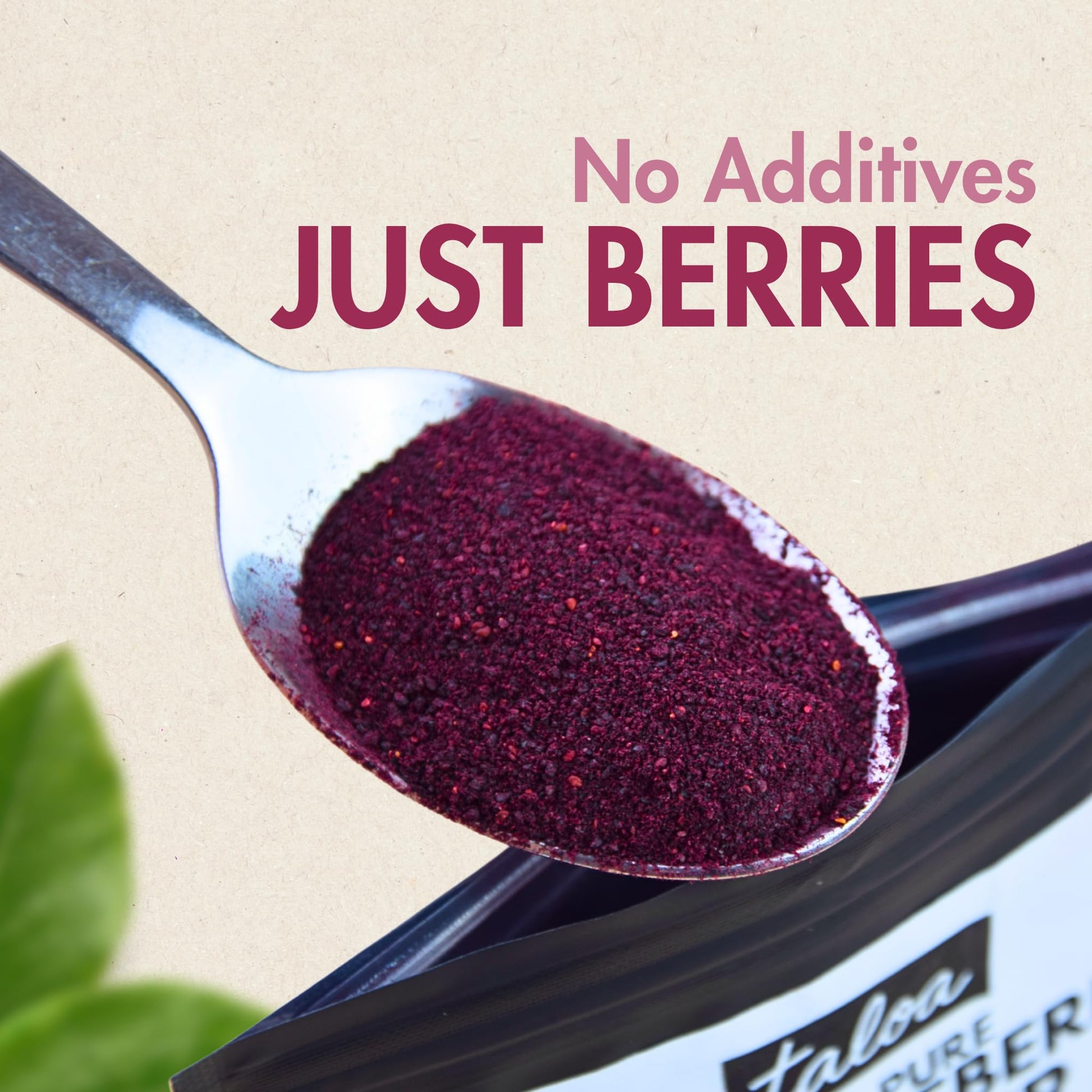 Taloa Wild Blueberry Powder 150g – Pure Nova Scotia Wild Blueberries, Canadian-Made, Unsweetened & Additive-Free