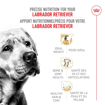 Royal Canin Labrador Retriever Adult Dry Dog Food, 30 lb bag ROYAL CANIN