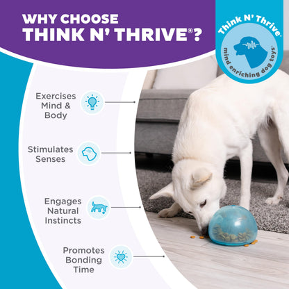 Planet Dog Orbee-Tuff Snoop Interactive Puzzle Dog Toy, Blue Outward Hound