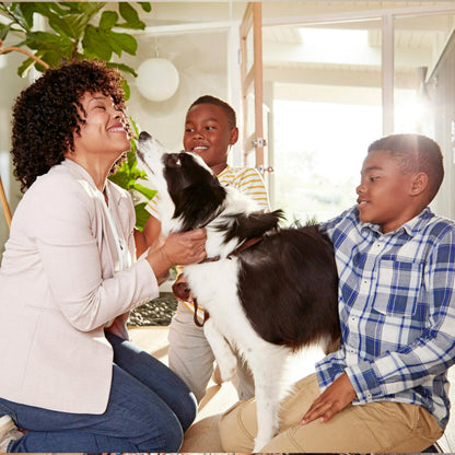 Filtrete 16x20x1 AC Furnace Air Filter, MPR 700, MERV 8, Tough on Pollen, Easy on Airflow, 3-Month Pleated 1-Inch Electrostatic Air Cleaning Filter, 2-Pack (Actual Size 15.68 x 19.68 x 0.78 in) 🍁 All In One Marketplace Canada Filtrete