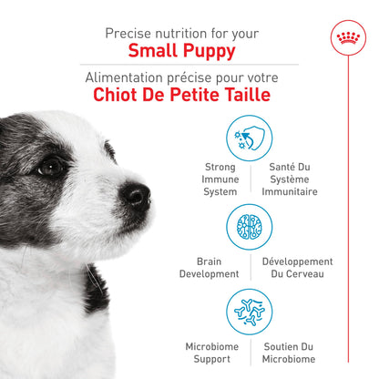 Royal Canin Size Health Nutrition Small Breed Dry Puppy Food, Supports Brain Development, Immune Support, and Digestive Health, 14 lb Bag 🍁 All In One Marketplace Canada