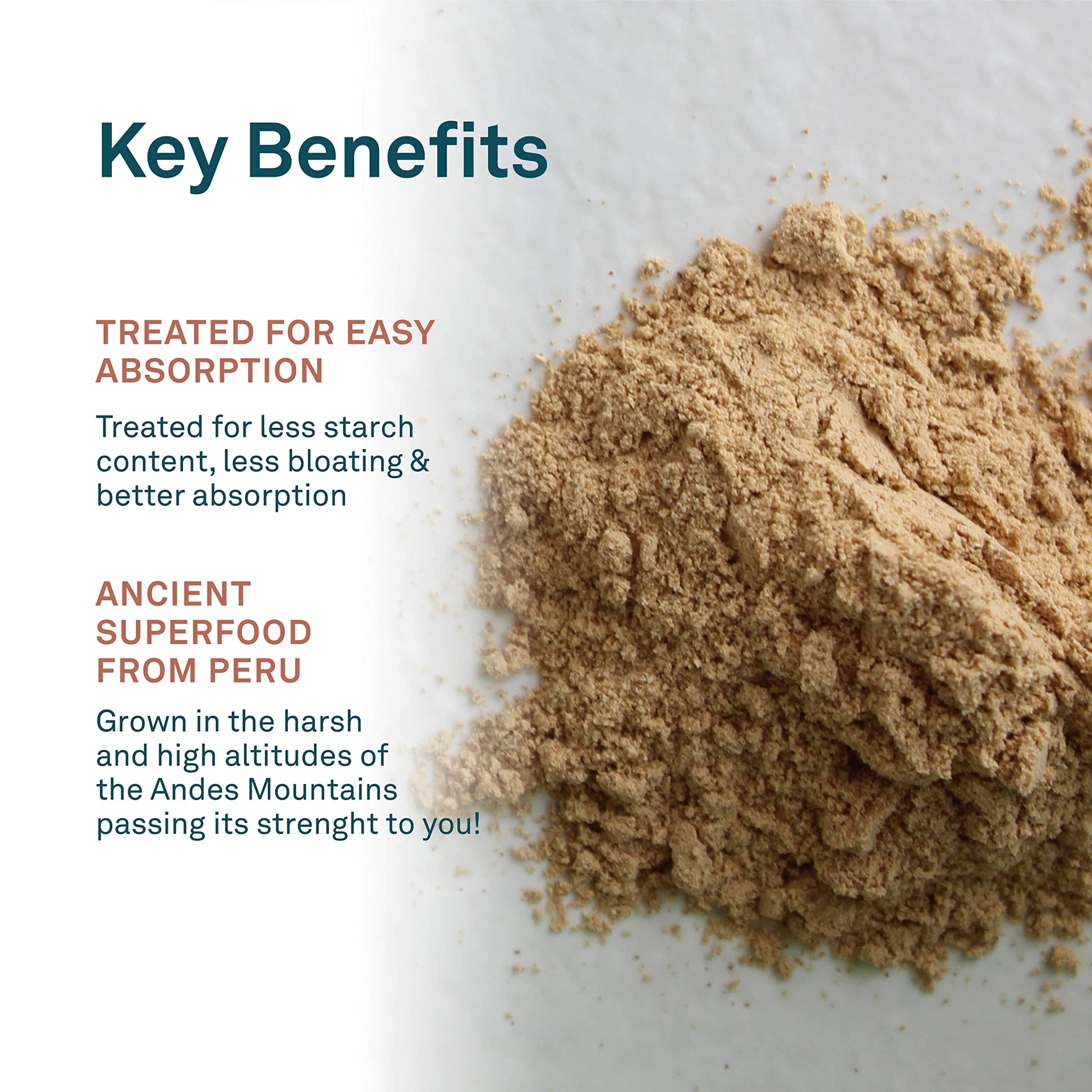 Organika Maca Certified Organic Powder- Gelatinized for High Bioavialability, Hormone Balance, Adaptogen to Help with Stress and Energy- 400g Organika