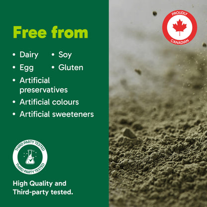 Organika Canadian-Made Digest Greens for Gut Health + Bloat Relief- Organic Greens Powder with NAC and Milk Thistle- Detox, Antioxidants, Digestion and Liver Support - Pineapple Punch Flavour- 340g