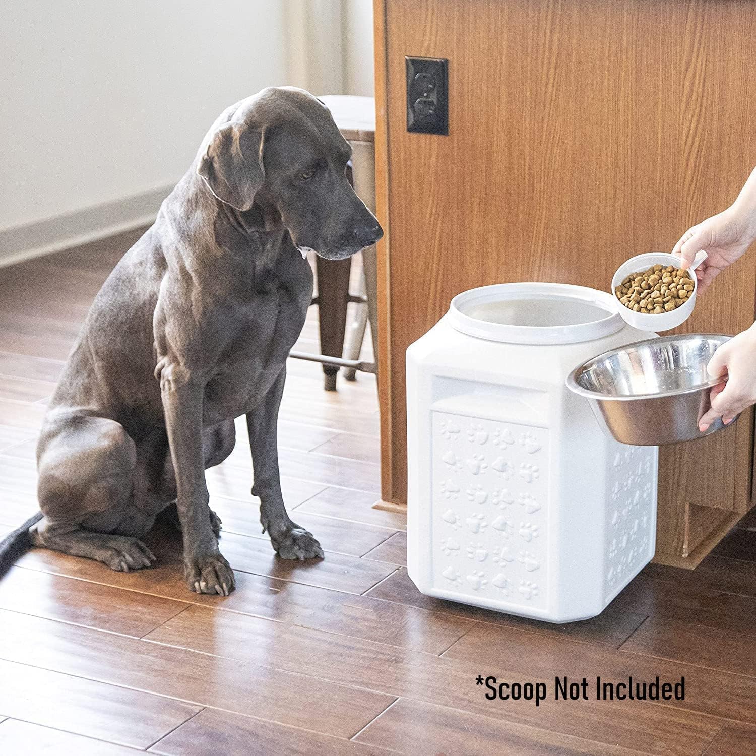 Gamma2 Vittles Vault Dog Food Storage Container (Durable, Food Safe, BPA Free Storage, Made in the USA with Recycled Materials)Holds up to 35 pounds 🍁 All In One Marketplace Canada Gamma2