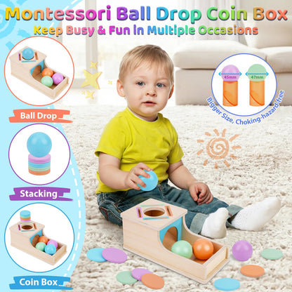 FCSONU Toddlers Montessori Ball & Coin Box Toys for 1 2 3 Year Old Boy Girl 🍁 All In One Marketplace Canada