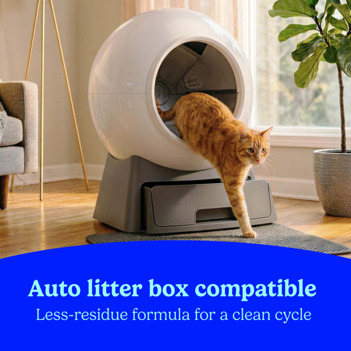 Fresh Step Clumping Cat Litter, Multi-Cat, Long Lasting Odor Control Kitty Litter with Activated Charcoal, Low Dust Formula, 14 lb