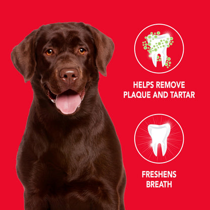 Petrodex Enzymatic Toothpaste for Dogs, Pet Dental Care, Poultry Flavor, 6.2 oz 🍁 All In One Marketplace Canada