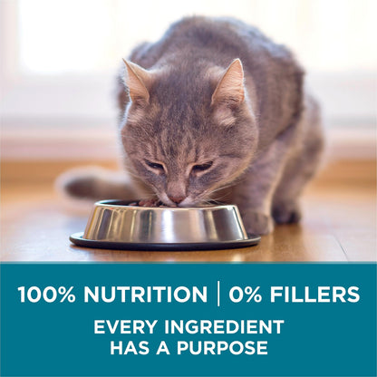 Purina ONE Dry Cat Food, Chicken & Rice Formula - 3 kg Bag