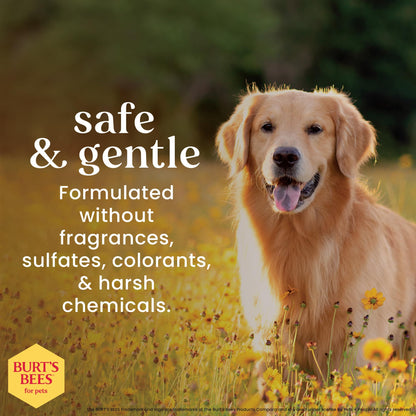Burt's Bees Soothing Hot Spot Spray, 10-Ounce BURT'S BEES FOR PETS