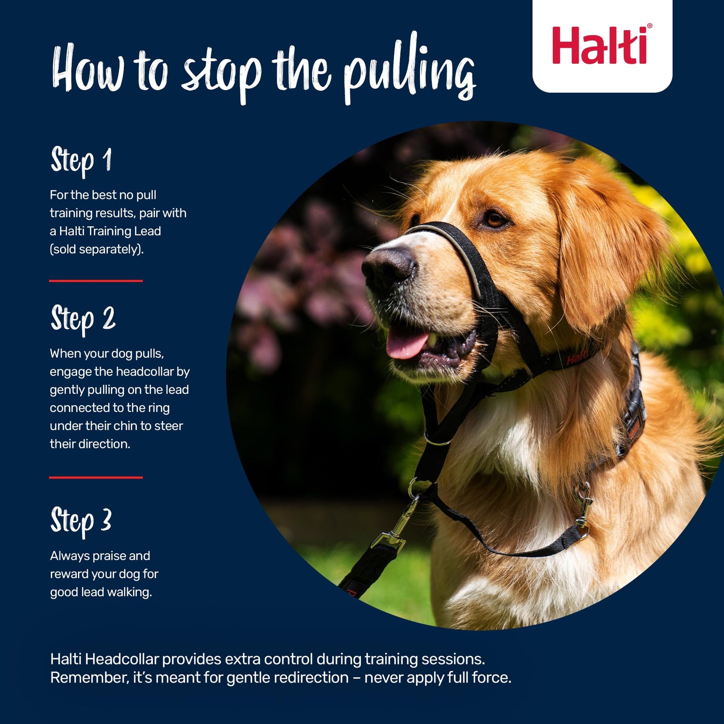 Halti Headcollar - Stop Your Dog Pulling on the Leash. Adjustable, Reflective and Lightweight, with Padded Nose Band. Dog Training Anti-Pull Collar for Medium Dogs (Size 3, Black) 🍁 All In One Marketplace Canada