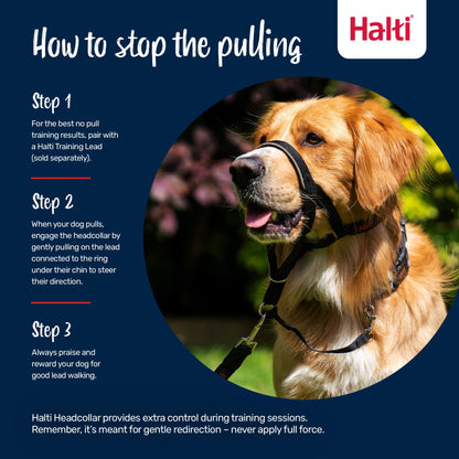 Halti Headcollar - Stop Your Dog Pulling on the Leash. Adjustable, Reflective and Lightweight, with Padded Nose Band. Dog Training Anti-Pull Collar for Medium Dogs (Size 3, Black) 🍁 All In One Marketplace Canada