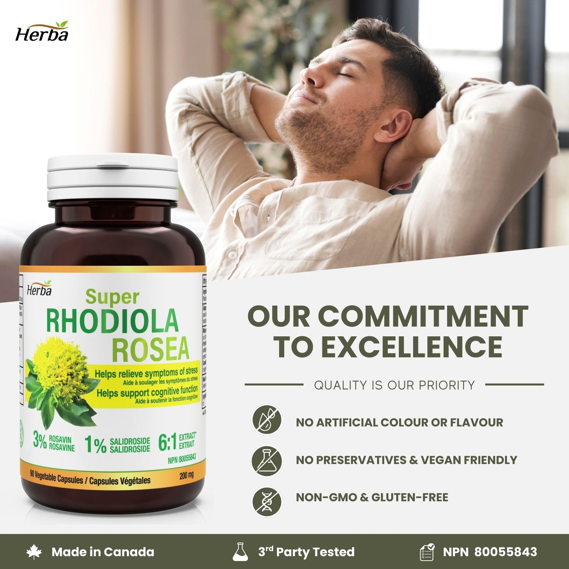 Herba Rhodiola Rosea Supplement 200mg - 90 Capsules | 6:1 Extract | Rhodiola Supplement with Min 3% Rosavins and 1% Salidrosides | Help Relieve Symptoms of Stress | Made in Canada - Available at All In One Marketplace Canada