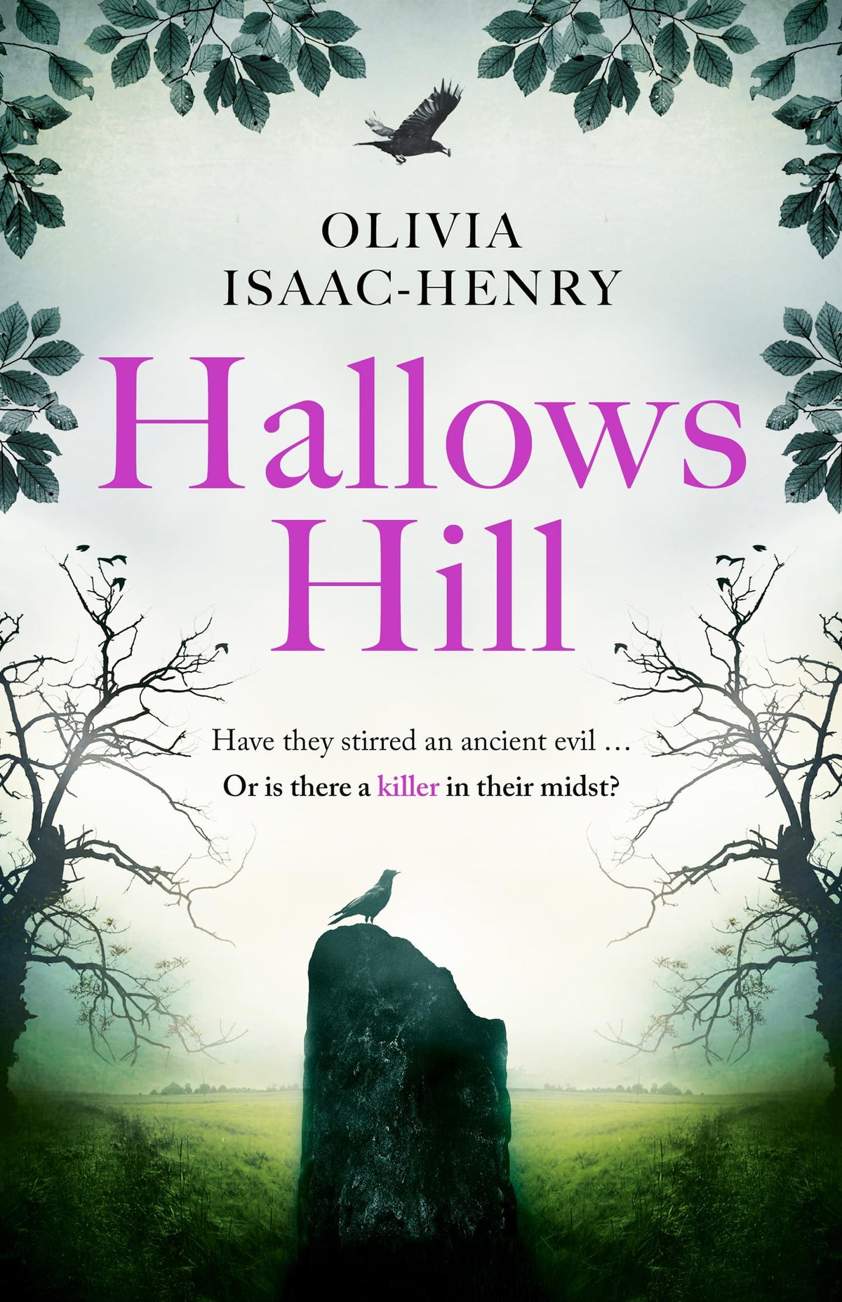 Hallows Hill : Un roman d'horreur folklorique sombre et glaçant, plein de suspense et de secrets, pour Halloween 2025