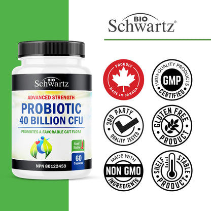 Probiotic 40 Billion CFU - Synbiotics Gut Health - Proudly Canadian Made - Bloating Relief & Digestive Health Support - Guaranteed Potency Probiotics for Men & Women - Shelf Stable, Non-GMO, 60ct