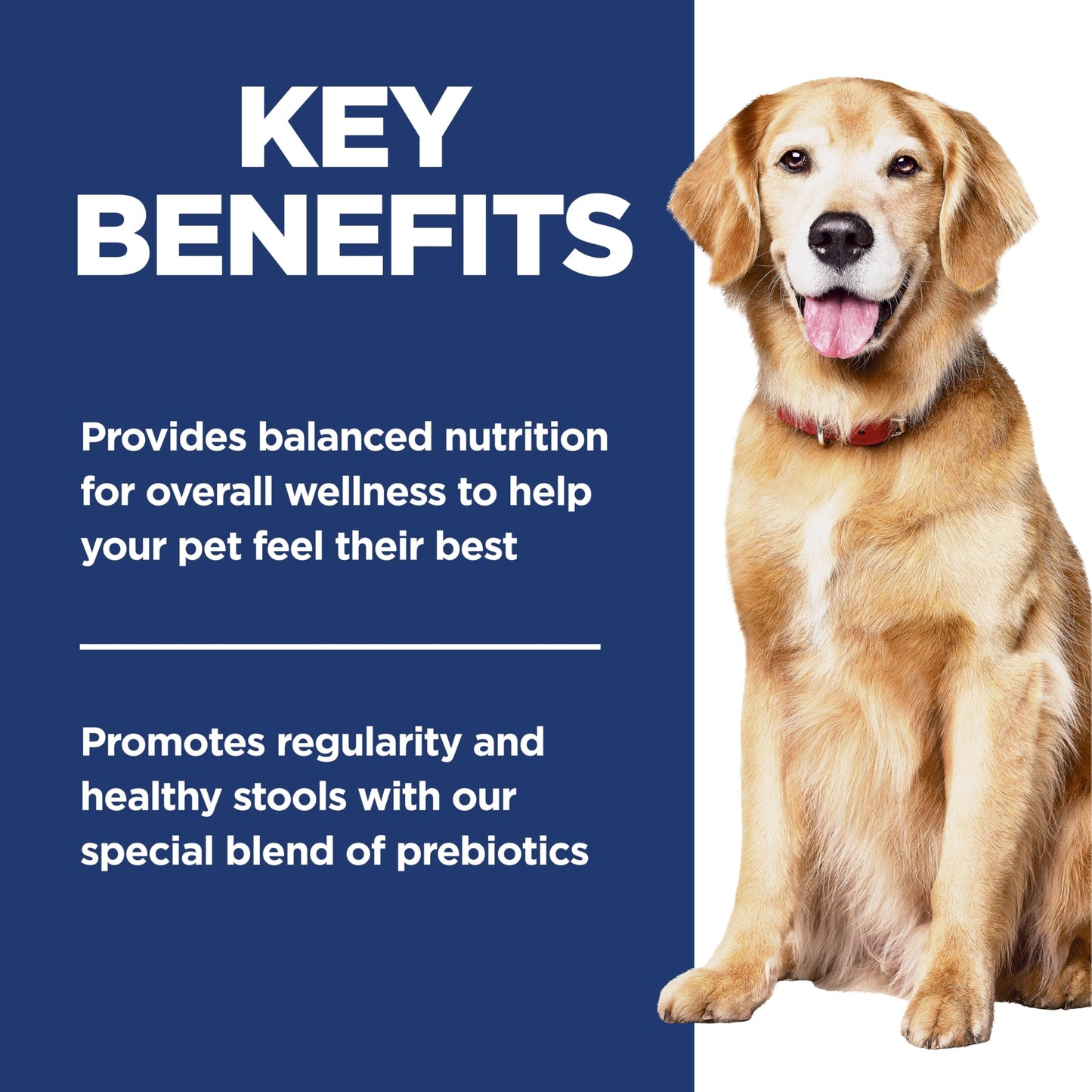 Hill's Science Diet Adult 7+ Perfect Digestion Chicken, Whole Oats & Brown Rice Recipe Dry Dog Food 10.0 kg Bag Hill's Science Diet