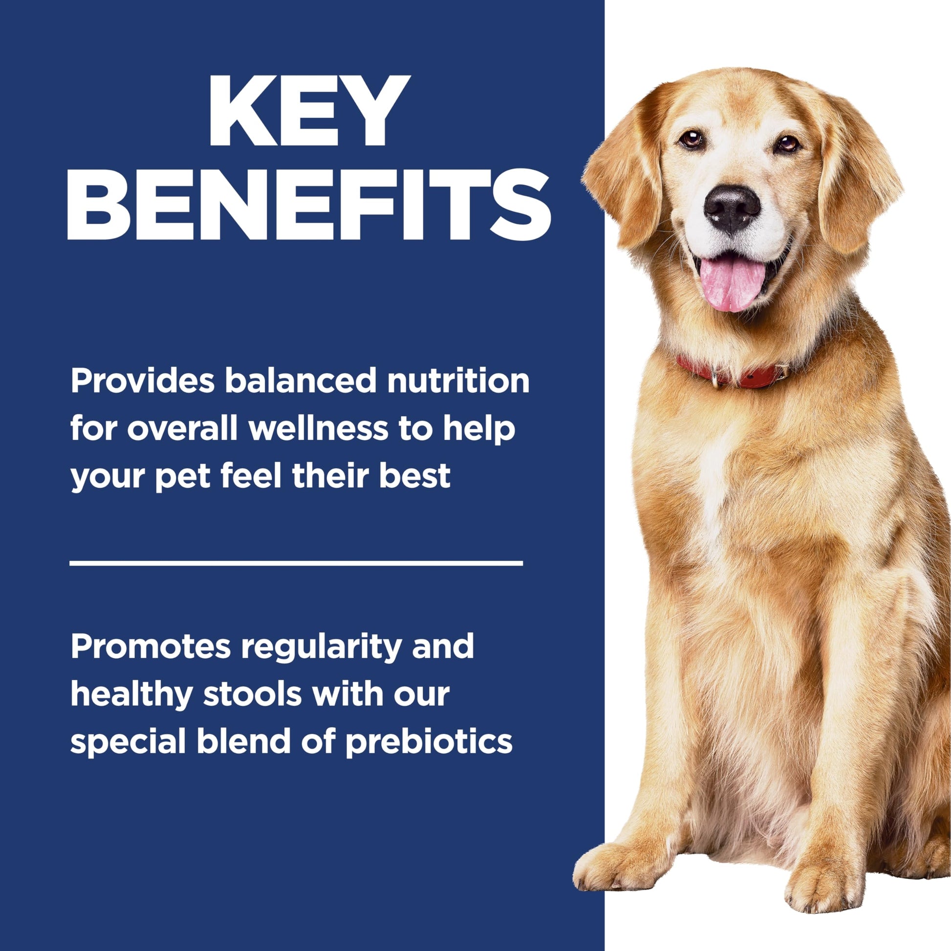 Hill's Science Diet Adult 7+ Perfect Digestion Chicken, Whole Oats & Brown Rice Recipe Dry Dog Food 10.0 kg Bag Hill's Science Diet