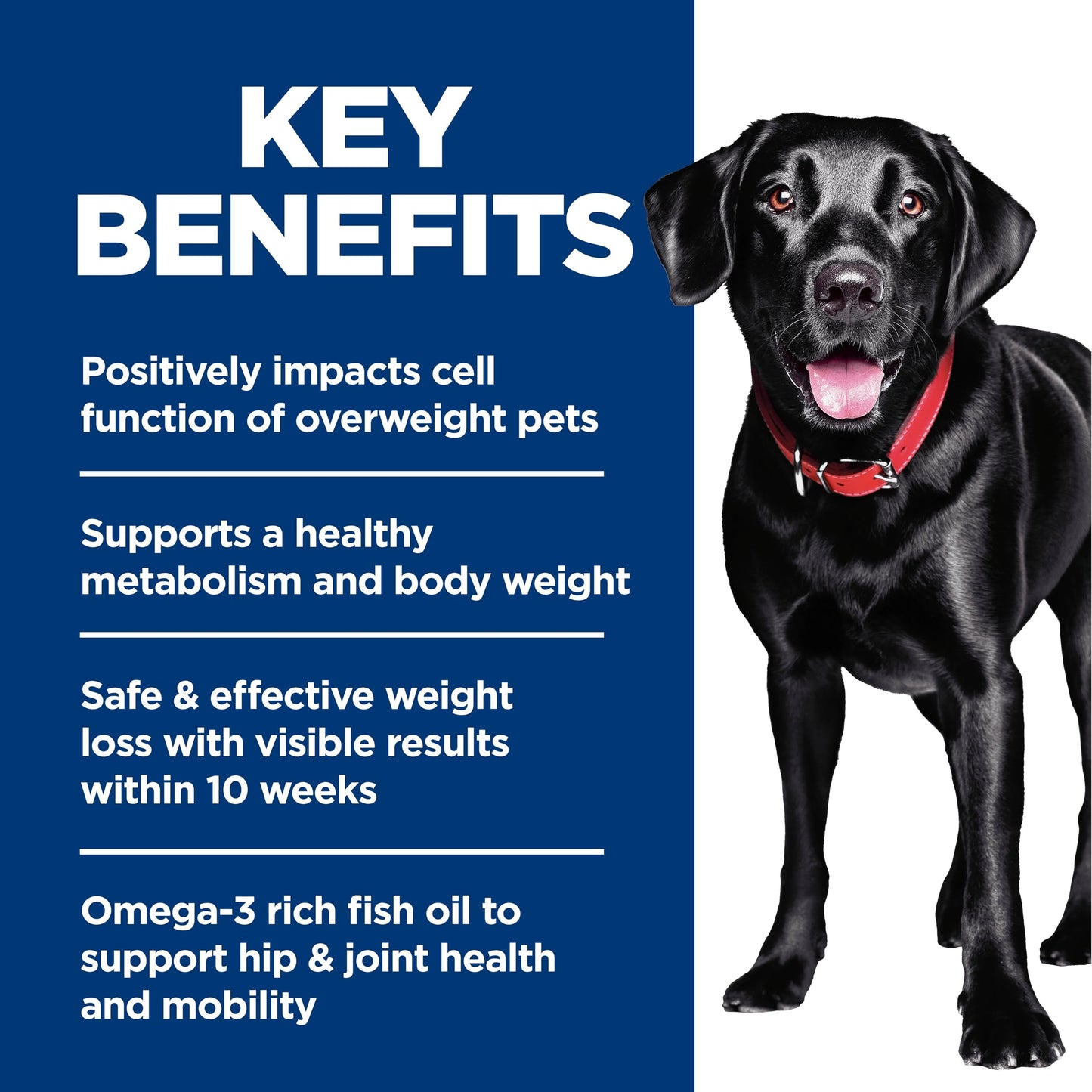 Hill's Science Diet Adult Perfect Weight & Joint Support Large Breed Dry Dog Food, Chicken Recipe 11.34 kg Bag 🍁 All In One Marketplace Canada