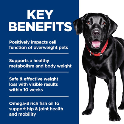 Hill's Science Diet Adult Perfect Weight & Joint Support Large Breed Dry Dog Food, Chicken Recipe 11.34 kg Bag 🍁 All In One Marketplace Canada