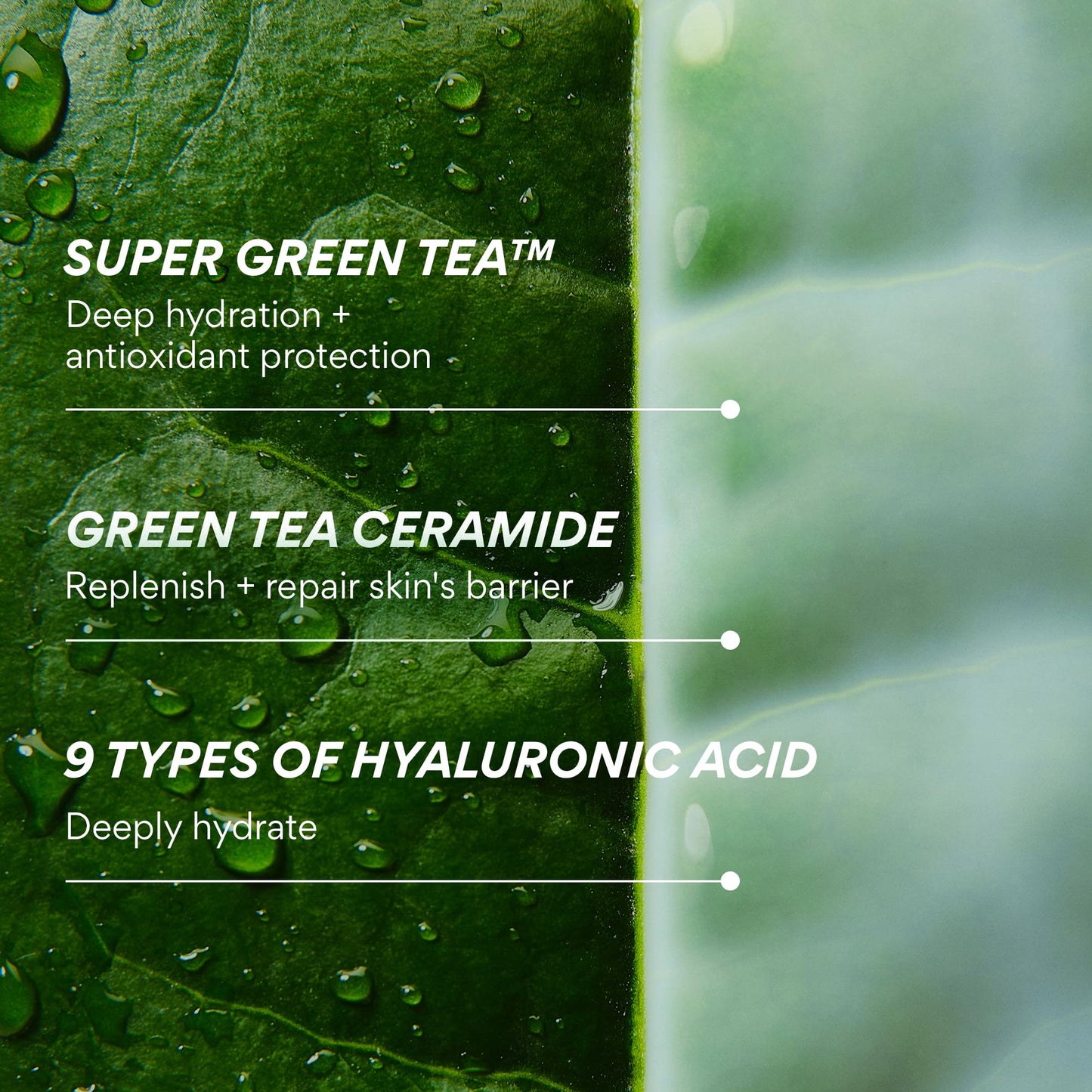 innisfree Green Tea Ceramide Milk, Hydrating & Lightweight Milky Toner for All Skin Types including Acne-Prone and Sensitive Skin innisfree