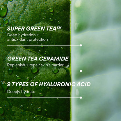innisfree Green Tea Ceramide Milk, Hydrating & Lightweight Milky Toner for All Skin Types including Acne-Prone and Sensitive Skin innisfree