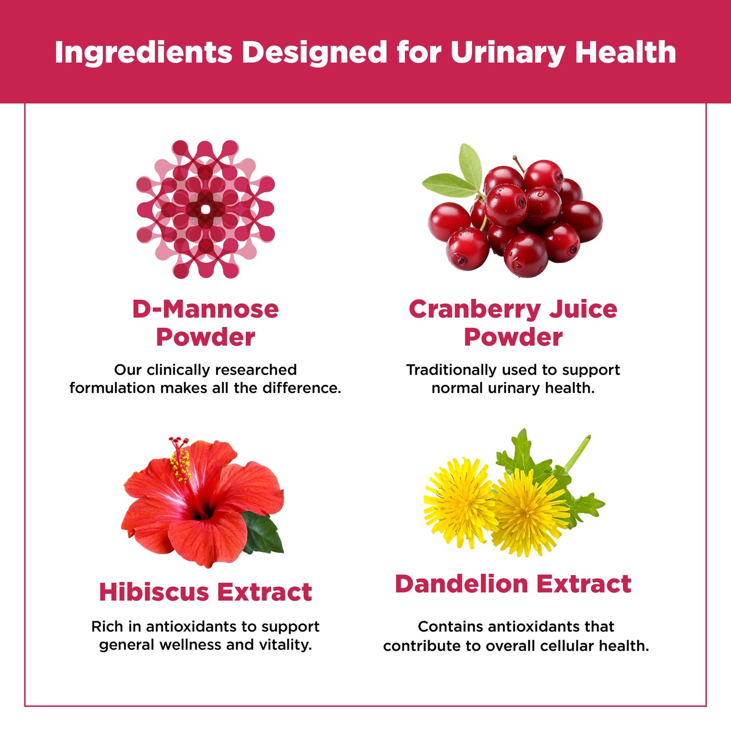 PlantVital D-Mannose Capsules - Made in Canada - 1000mg Daily Dose (2 Capsules) - Cranberry Pills for UTI Support & Bladder Health – DMannose and Cranberry Supplement - 120 Count, 2-Month Supply - Available at All In One Marketplace Canada