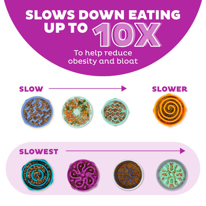 Fun Feeder Slo Bowl – Large 4‑Cup Capacity, Slow Feeding, Medium to Large Dogs, Non‑Slip, Purple, Flower Pattern