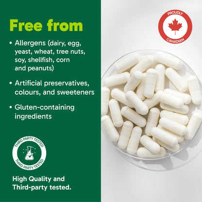 Organika Enhanced Collagen Protein Capsules - For Healthy Hair, Skin, Nails, Joints - Hydrolyzed For Better Absorption – Grass-Fed, Non-GMO - 240 Capsules Organika