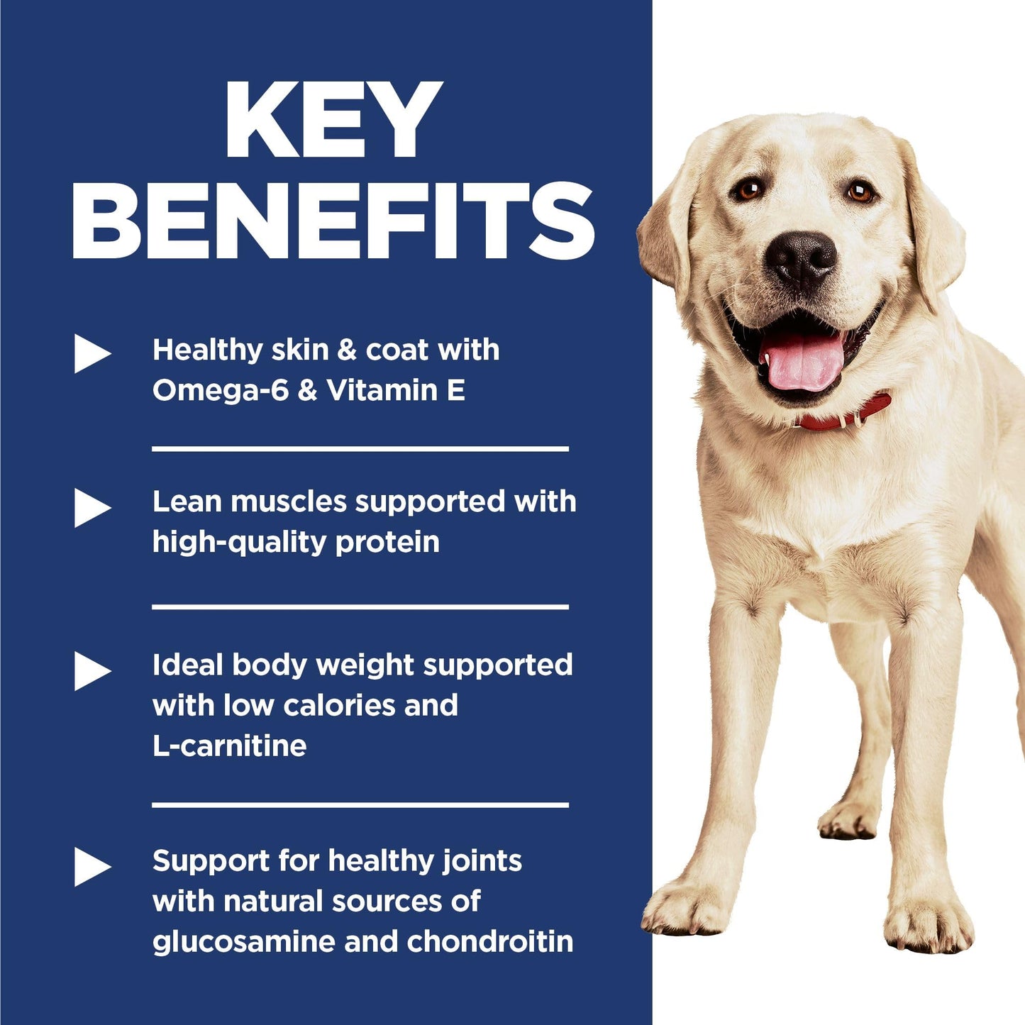 Hill's Science Diet Adult Light Large Breed with Chicken Meal & Barley Dry Dog Food 13.6 kg Bag Hill's Science Diet