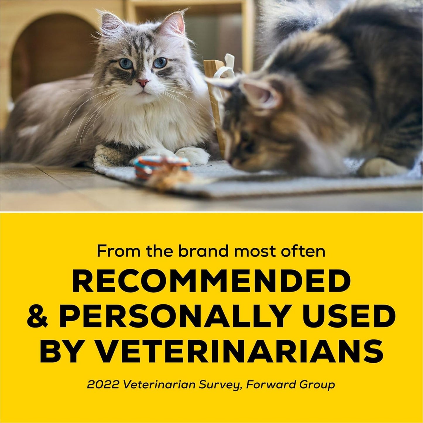Purina Tidy Cats Lightweight, Low Dust, Clumping Cat Litter Odor Control 24/7 Performance Multi Cat Litter - 17 lb. Box Purina Tidy Cats